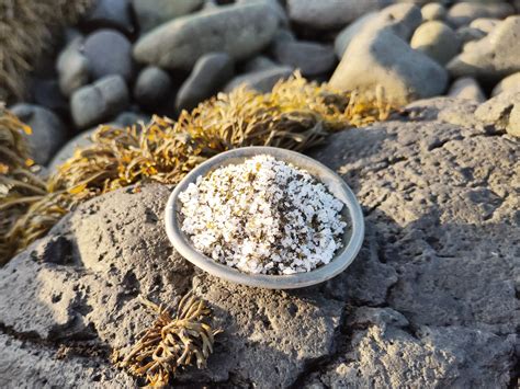 Magic Seaweed Bolknas: The Key to Sustainable Farming